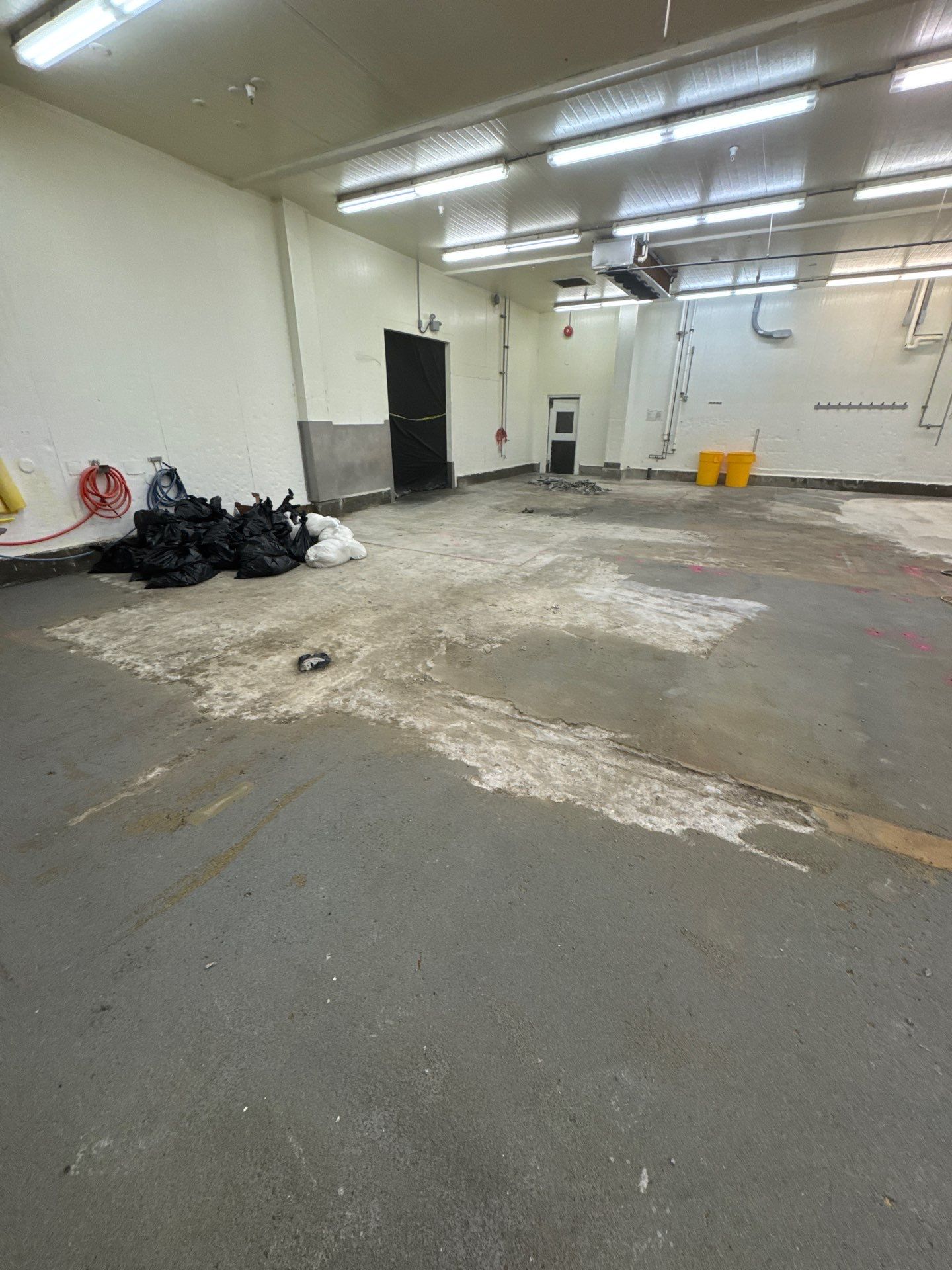 BEFORE, Urethane Cement, Meat Processing Plant, Manteca, CA